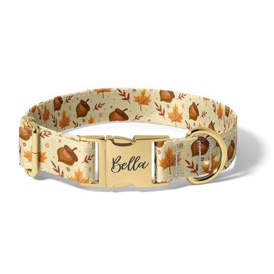 Fall Golds of Autumn Dog Collar