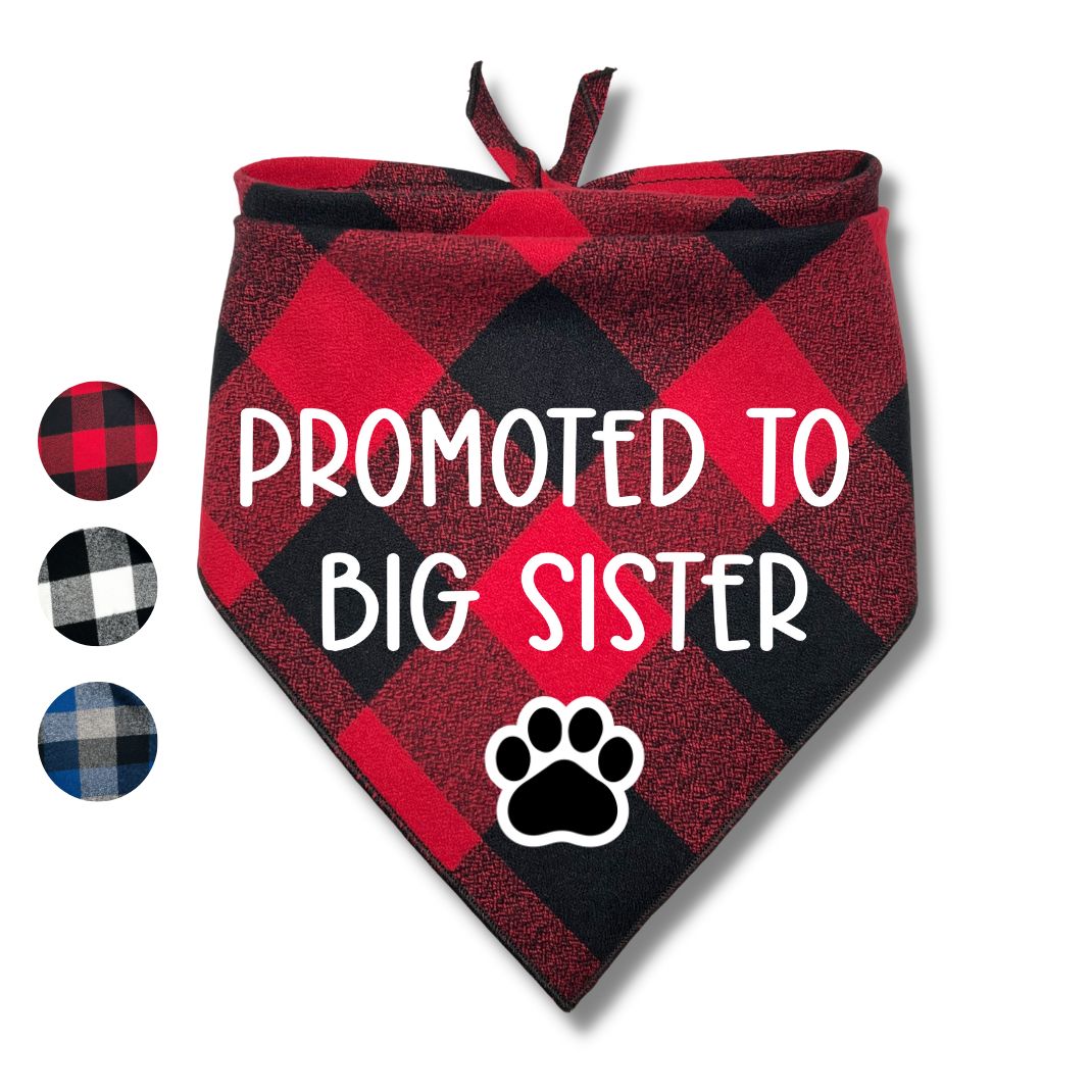 Promoted to Big Brother Big Sister Flannel Bandana