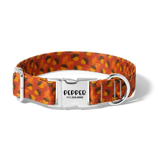 Fall Acorns of Autumn Dog Collar