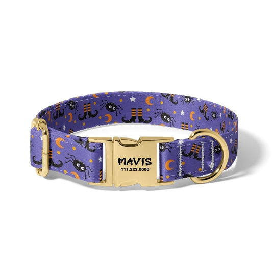 Halloween Witchy feet and Spiders Dog Collar
