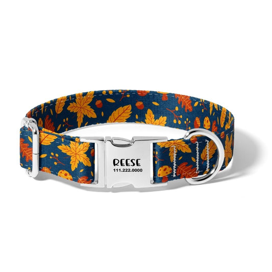 Fall Autumn Blues Dog Collar
