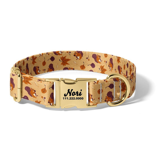 Fall Squirrels Dog Collar