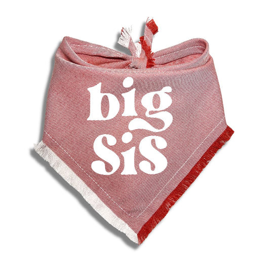 Big Bro Big Sis Bandana