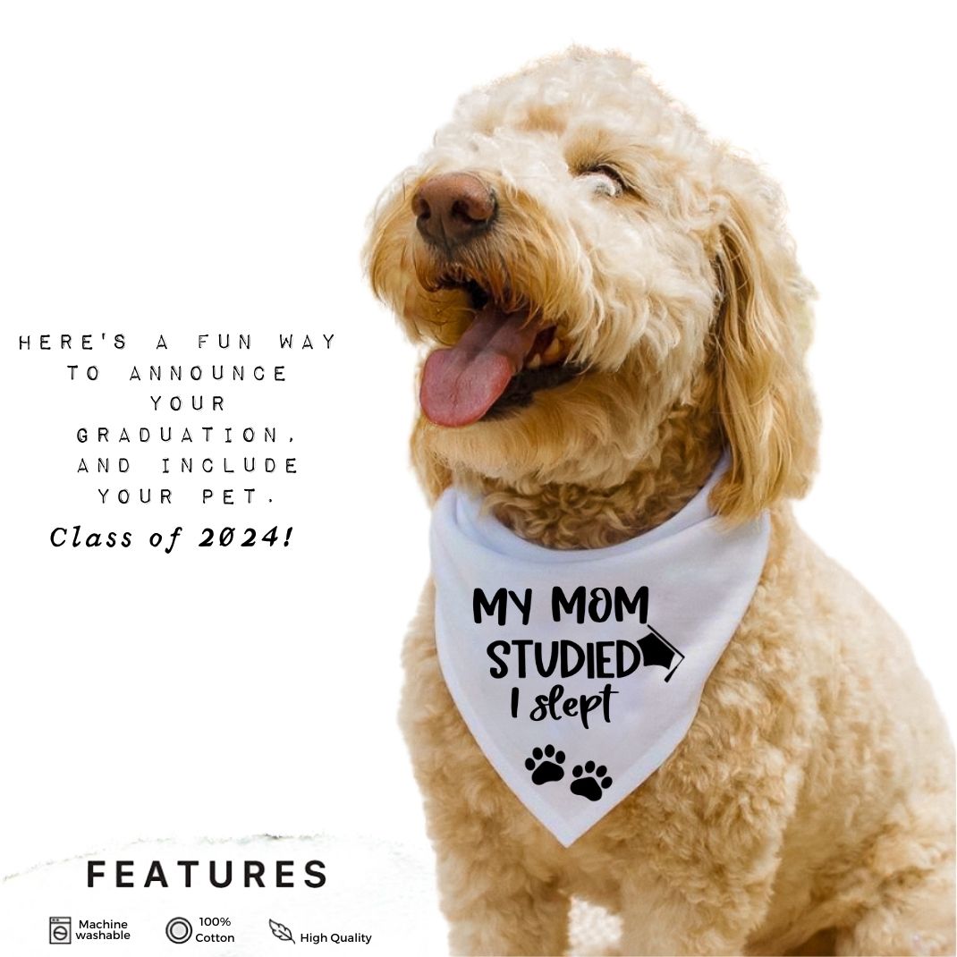 My Mom Studied I Slept Bandana