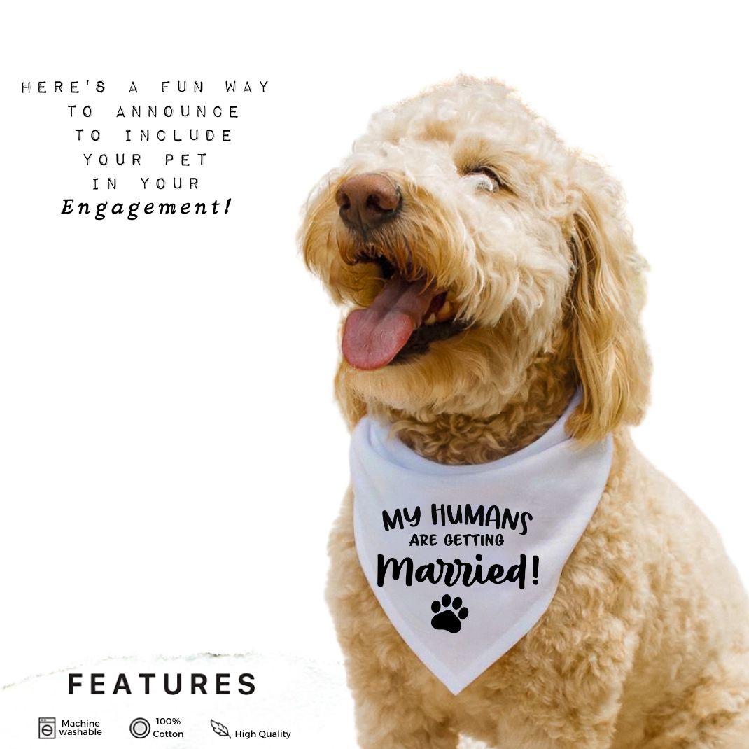 My Humans Are Getting Married Paw Bandana