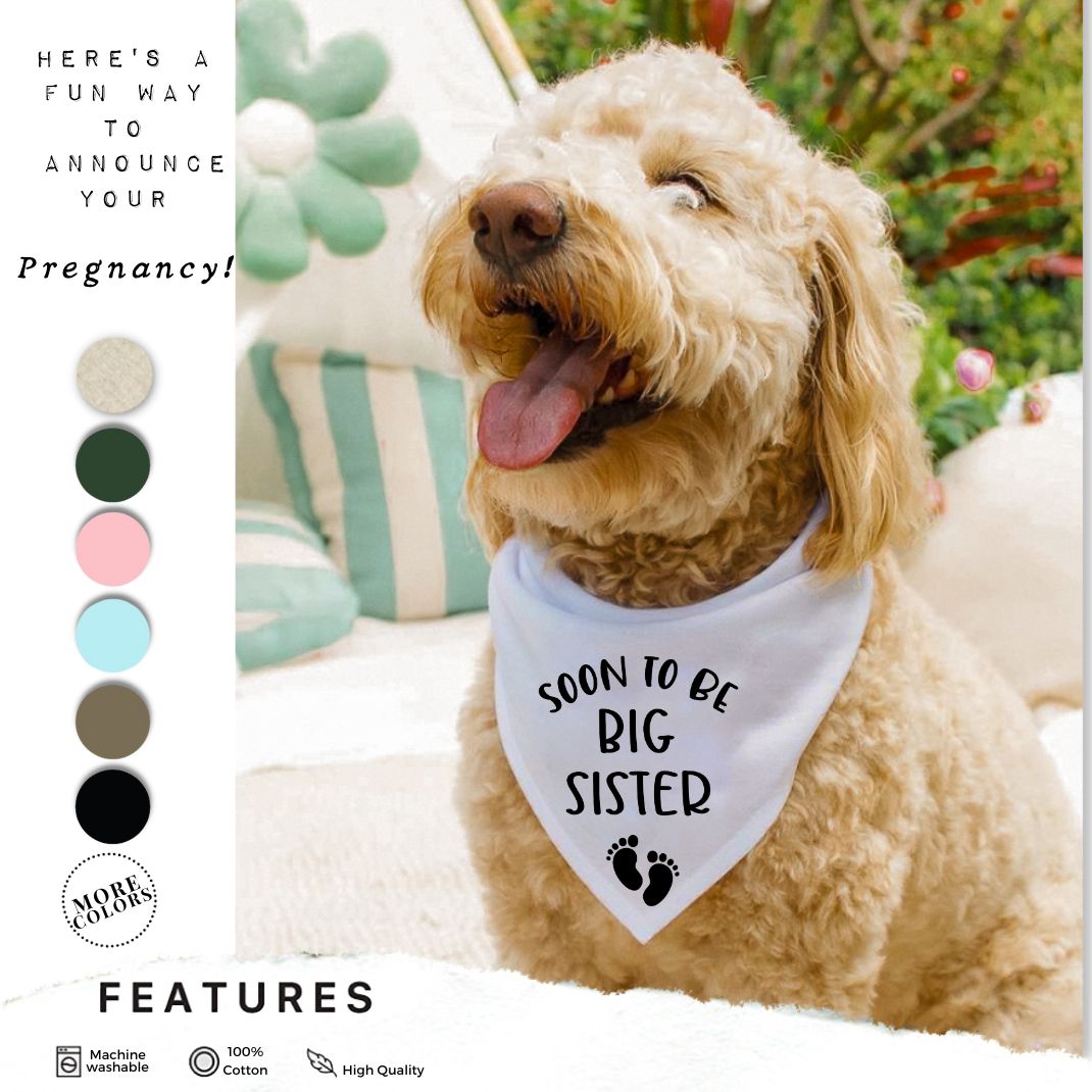 Soon To Be Big Brother Bandana