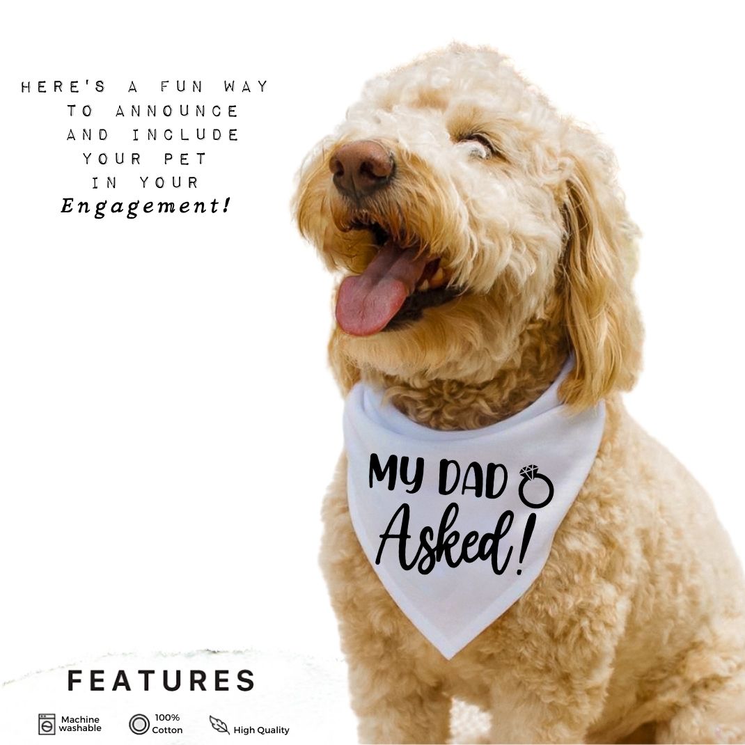 My Dad Asked Bandana