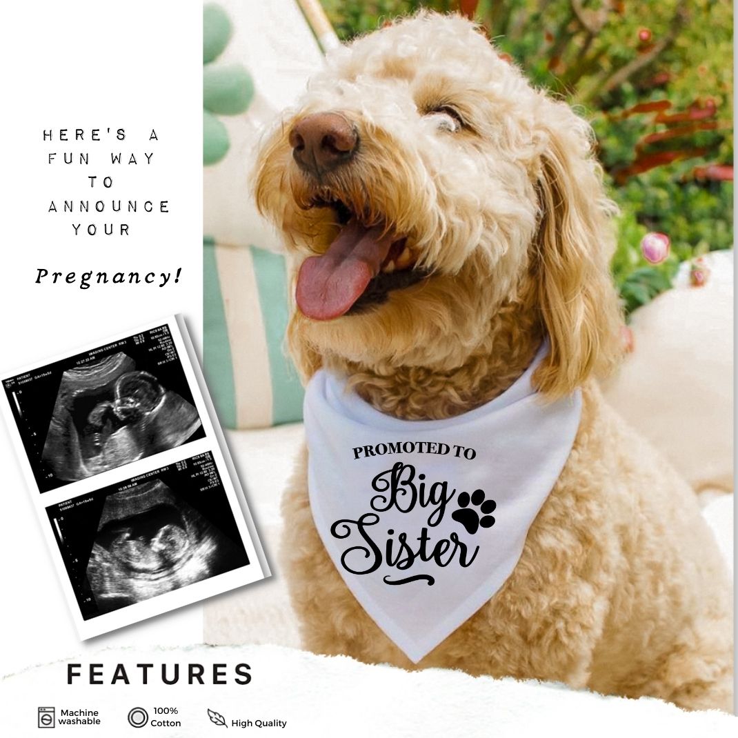 Promoted to Big Sister Bandana