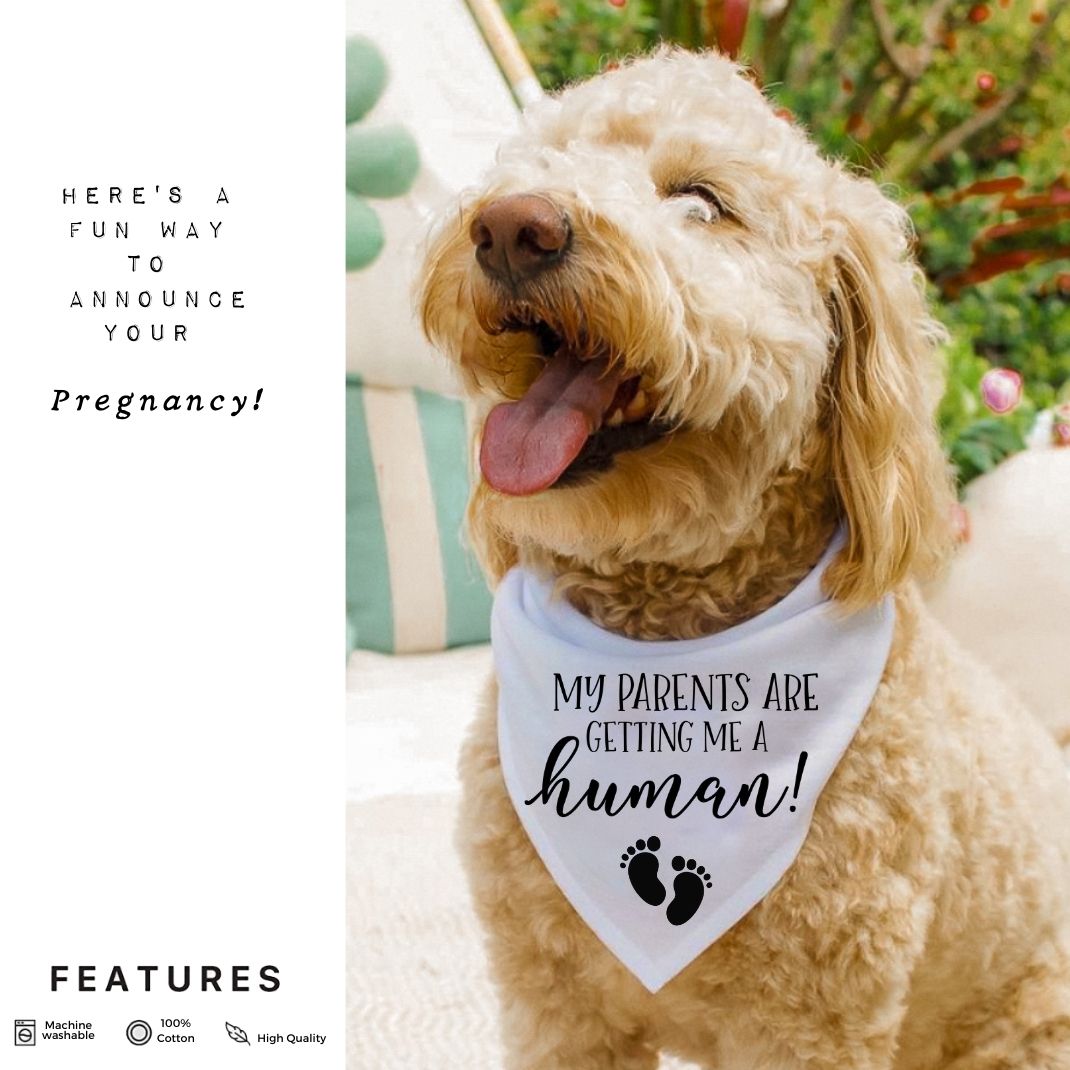 My Parents Are Getting Me A Human Bandana