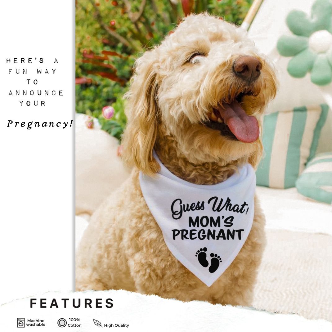 Guess What Moms Pregnant Baby Feet Bandana