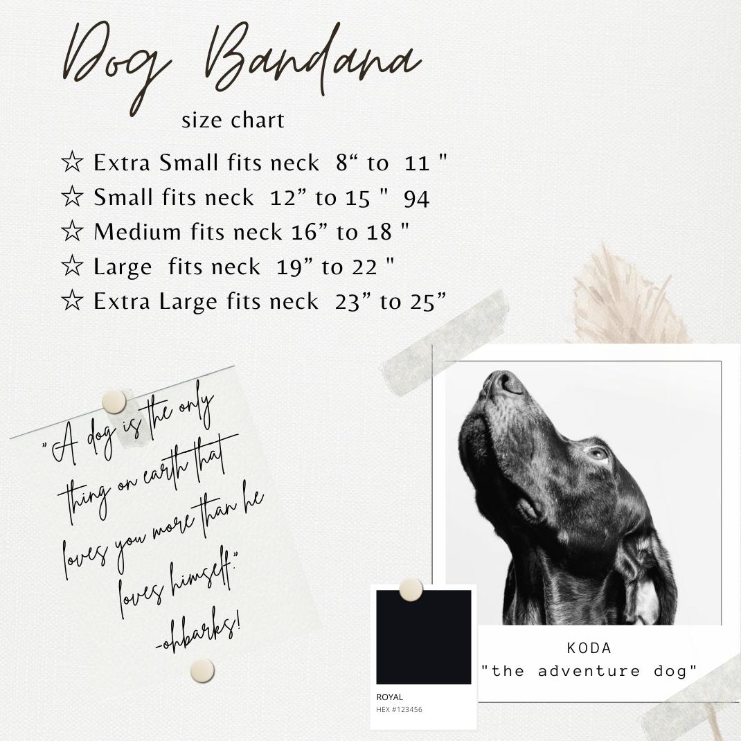 Marble Stone Terazzo