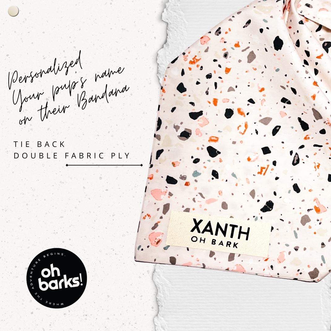 Marble Stone Terazzo