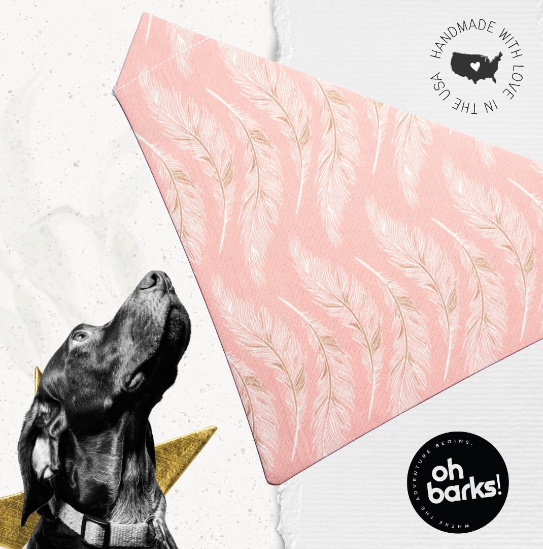 Modern Feathers - OTC