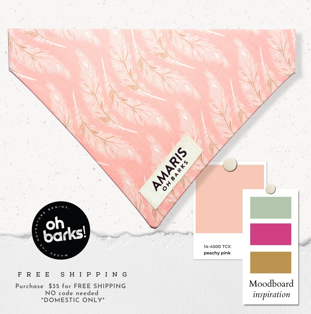 Modern Feathers - OTC