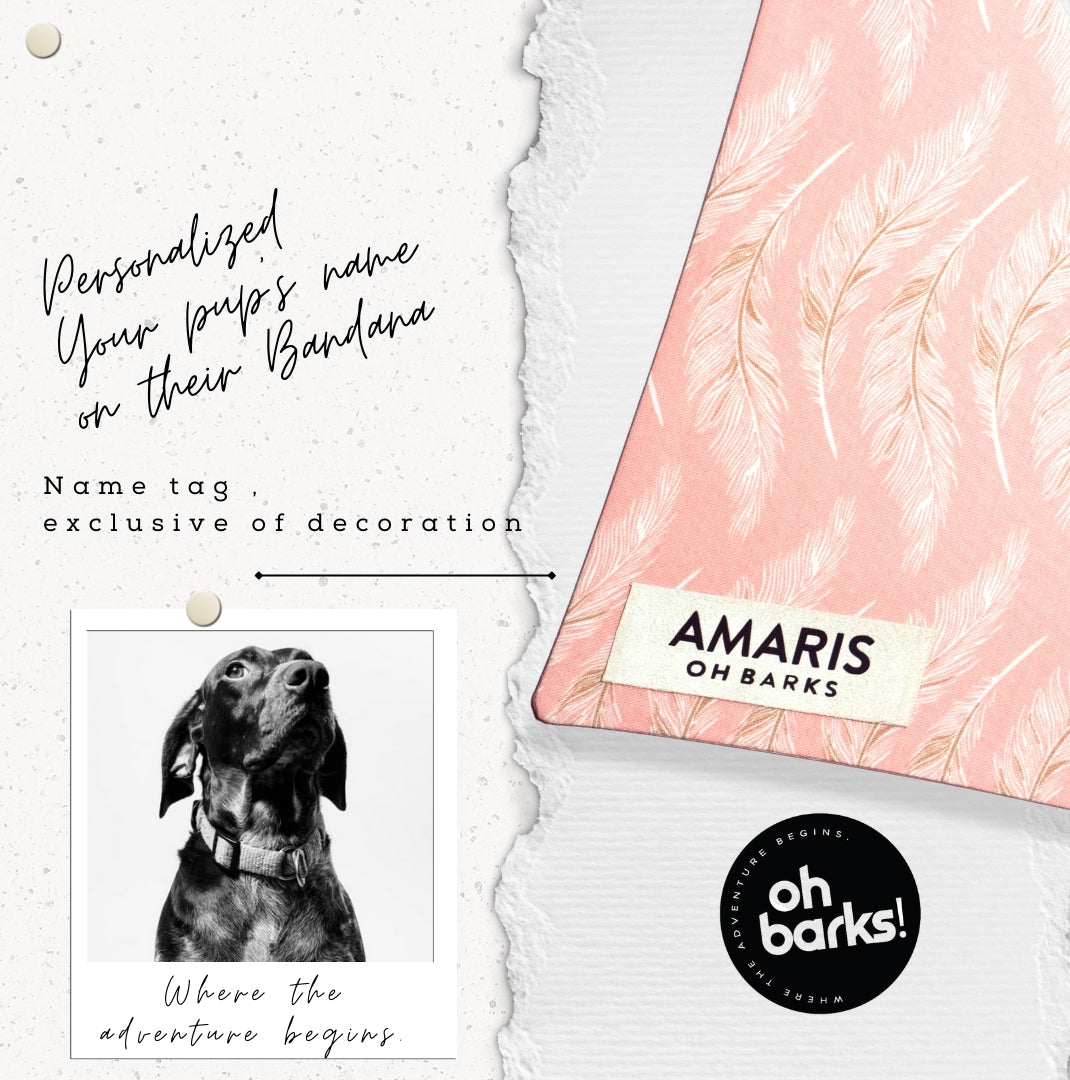 Modern Feathers - OTC