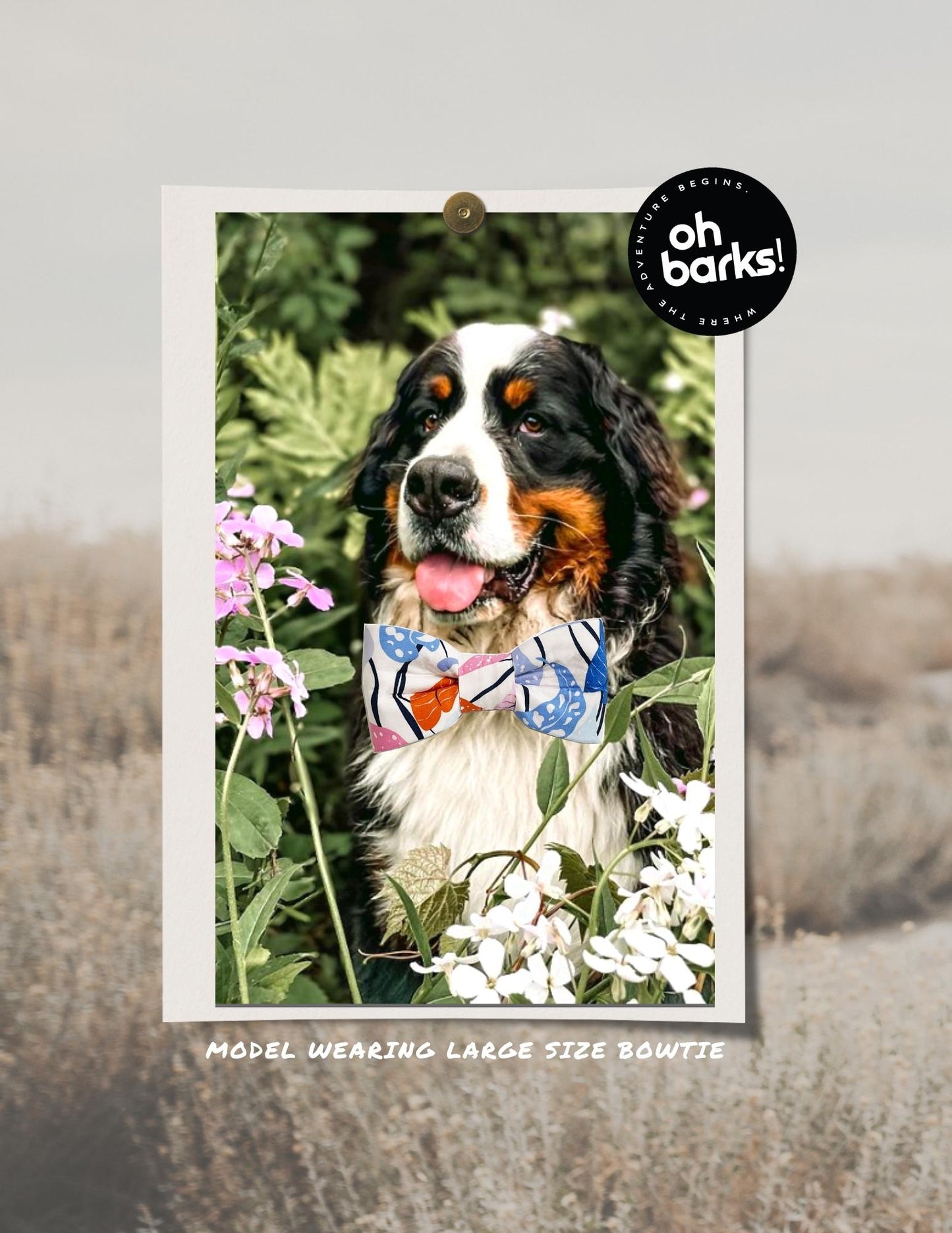 Piper Collar and Bow